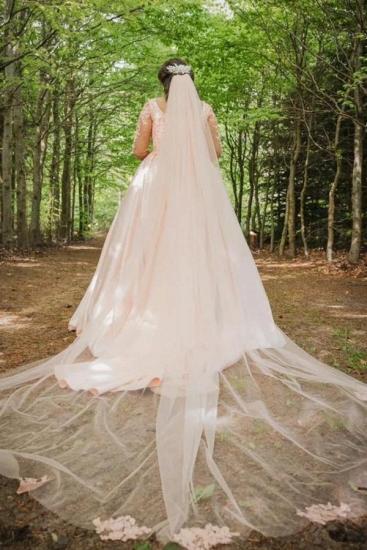 Pink Princess Elegant Wedding Dress | Lace Sleeve Wedding Dress_2