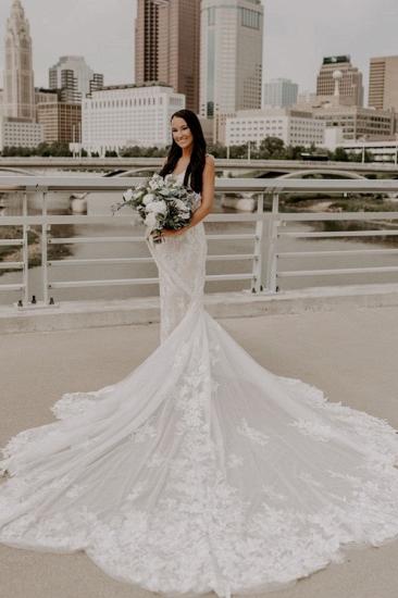 V-neck Open Back Mermaid Lace Long Wedding Dress With Big Train