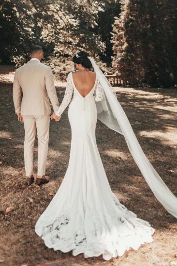 Gorgeous V-Neck Lace Sleeve Wedding Dress | Mermaid Wedding Dress_4