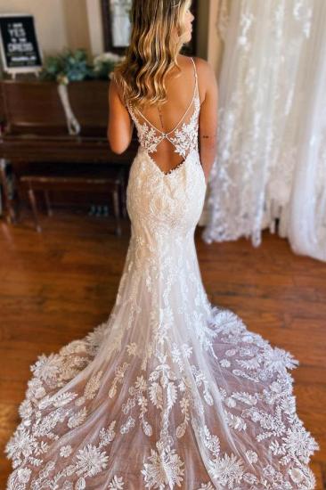 Lace V-Neck Backless Mermaid Wedding dresses_2