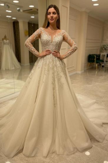 Designer lace V-neck long-sleeved wedding dress | A-line long-sleeved wedding dress with tail