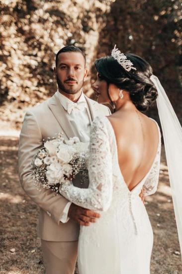 Gorgeous V-Neck Lace Sleeve Wedding Dress | Mermaid Wedding Dress_5