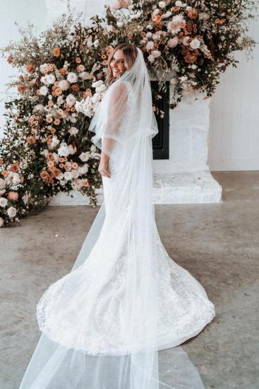 Lace Court Train V-Neck Mermaid Wedding dresses_3