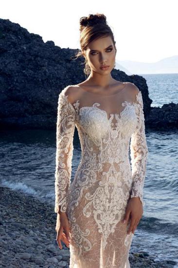 Elegant Lace Sweetheart Long Sleeves Mermaid Wedding dresses_3