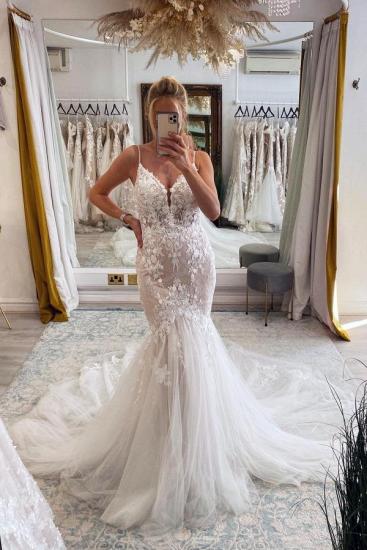 Lace V-Neck Mermaid Wedding dresses Elegant