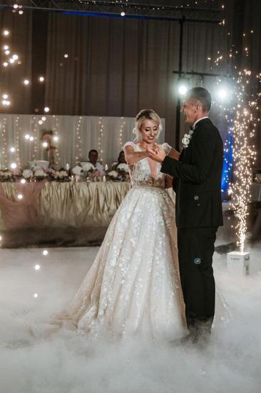 Elegant V-neck A-line wedding dress with lace