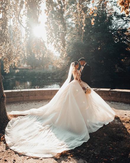Luxury Bridal A-Line Long Sleeve Lace Princess Wedding Dress_7