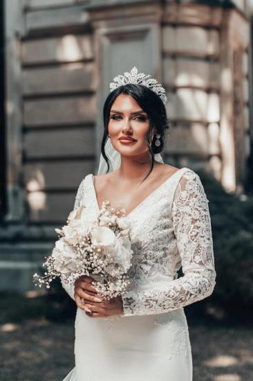 Gorgeous V-Neck Lace Sleeve Wedding Dress | Mermaid Wedding Dress_6