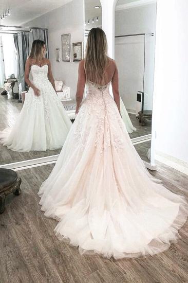 Elegant A-Line Lace and Tulle Floor Mopping Backless Wedding Dress