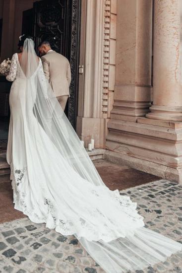 Gorgeous V-Neck Lace Sleeve Wedding Dress | Mermaid Wedding Dress_2